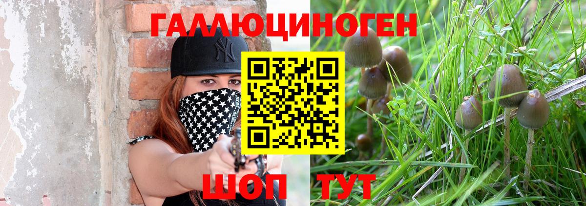 Галлюциногенные грибы Magic Shrooms  Вход с VPN  Нижний Новгород 