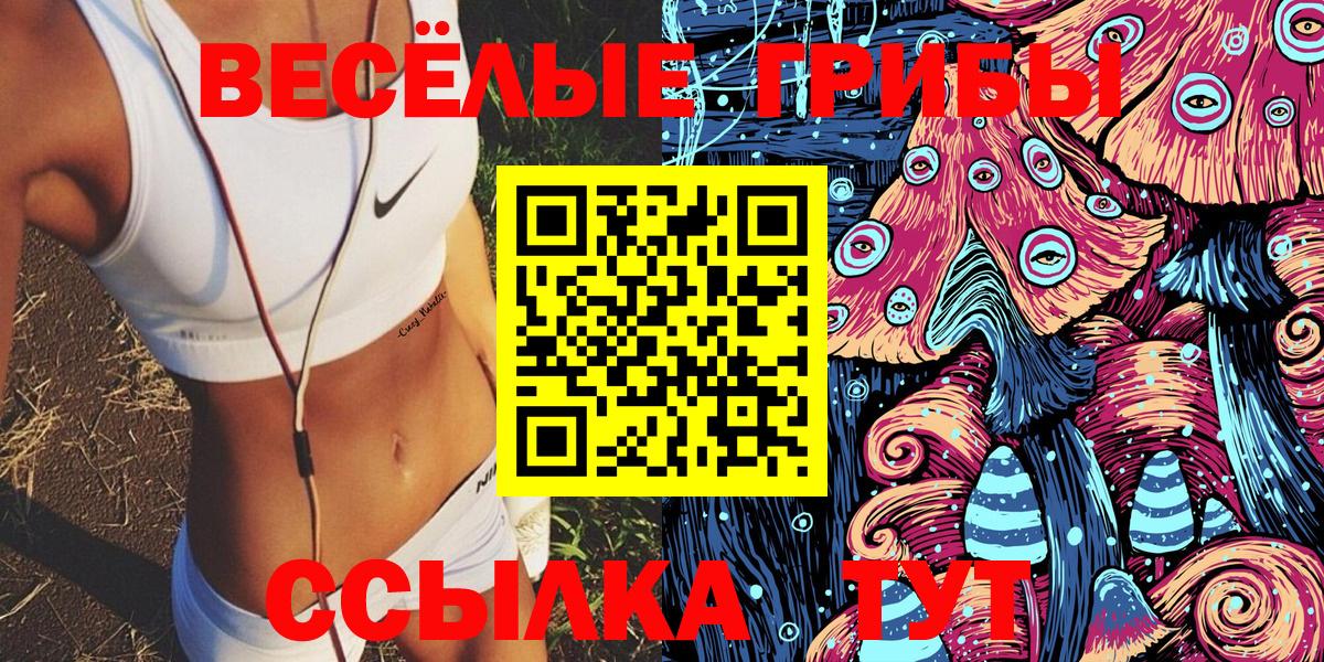 Псилоцибиновые грибы Psilocybine cubensis Нижний Новгород